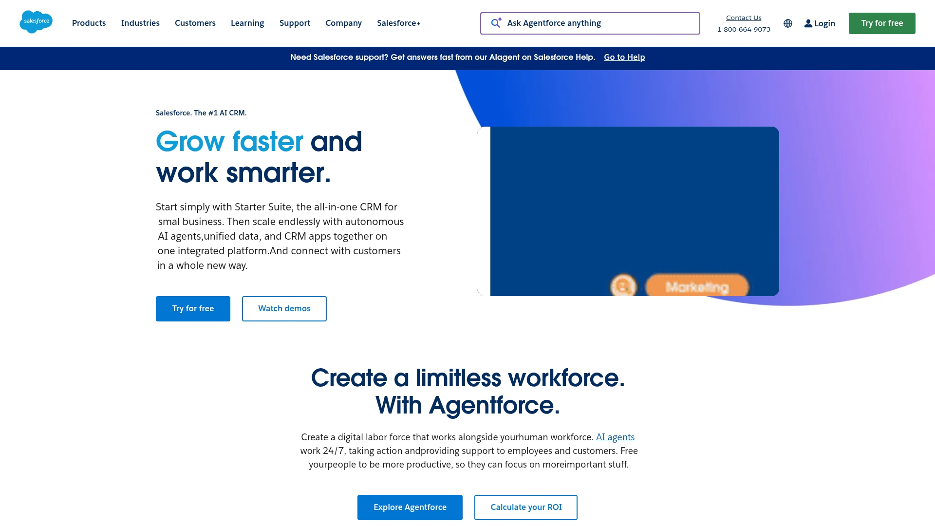 Screenshot of Salesforce interface