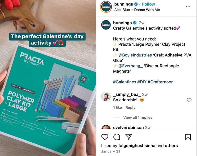 An Instagram video by Australian garden center chain Bunnings to promote its products.