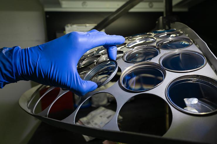 Lens Coatings for Glasses: Types, Benefits, and What to Choose