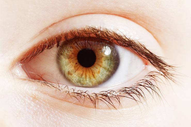 Hazel Eyes: Understand the Color | FYidoctors